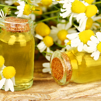 Trà thảo mộc - Trà hoa cúc - Ảnh 2