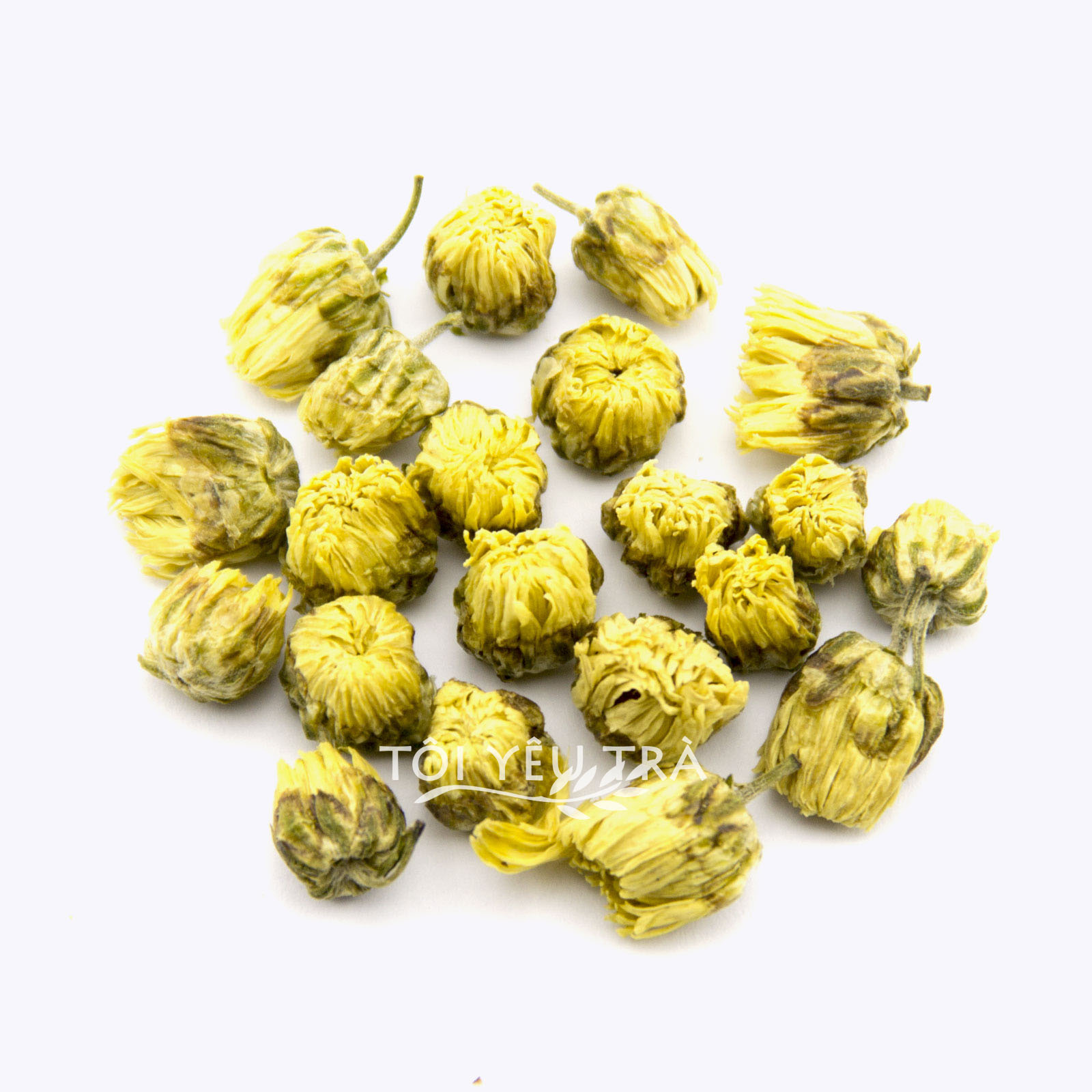 Trà Hoa Cúc La Mã - Ảnh 2